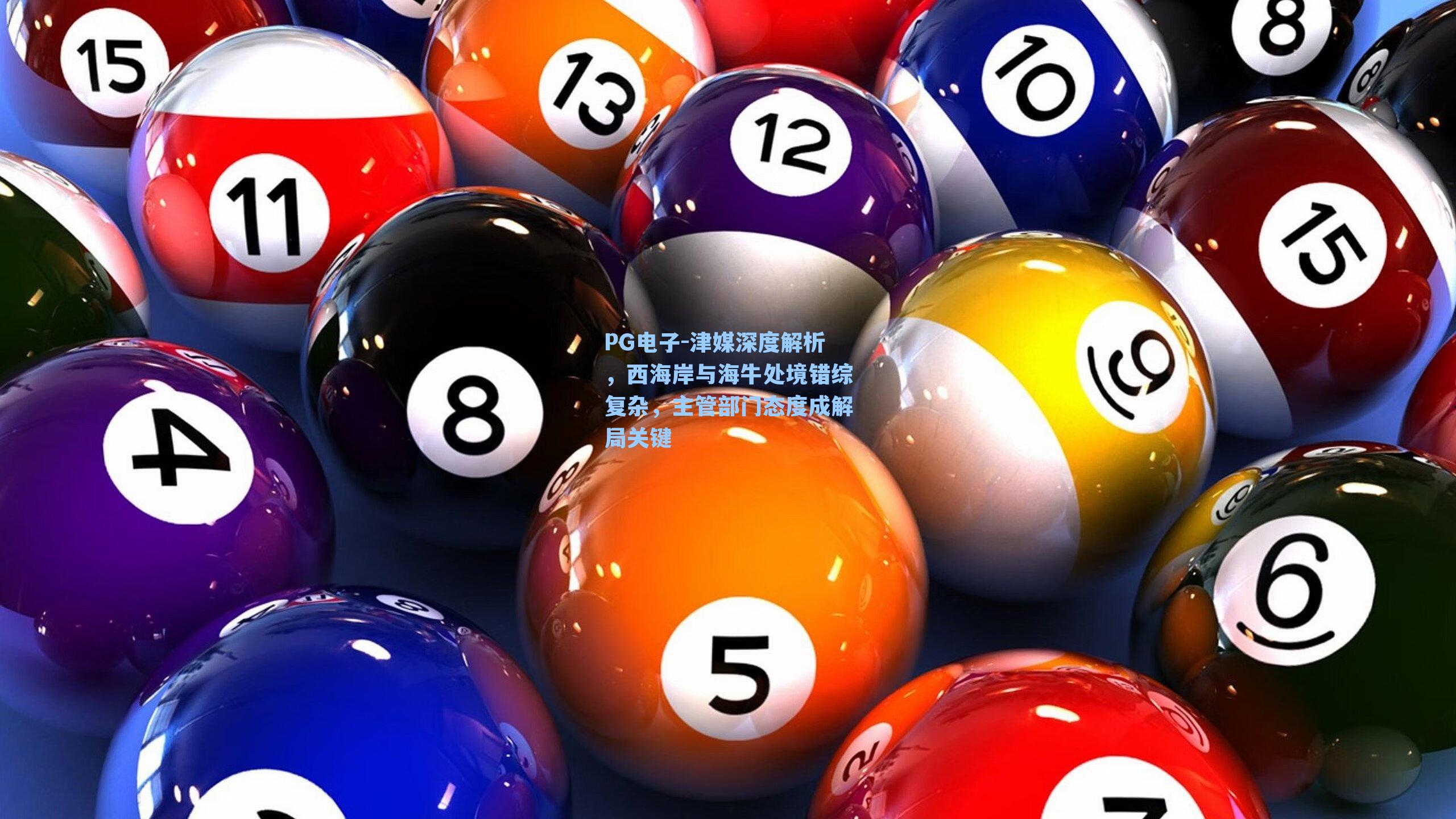 津媒深度解析，西海岸与海牛处境错综复杂，主管部门态度成解局关键